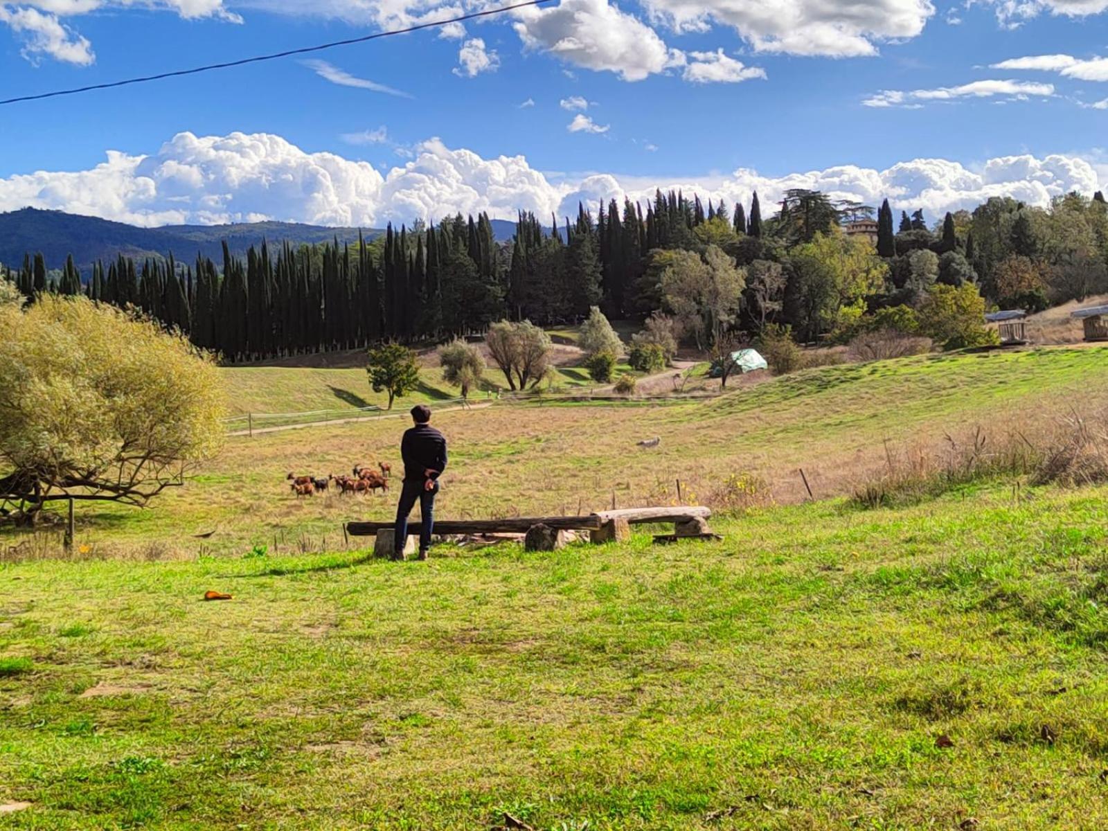 Agriturismo Podere Le Fornaci Greve in Chianti Dış mekan fotoğraf